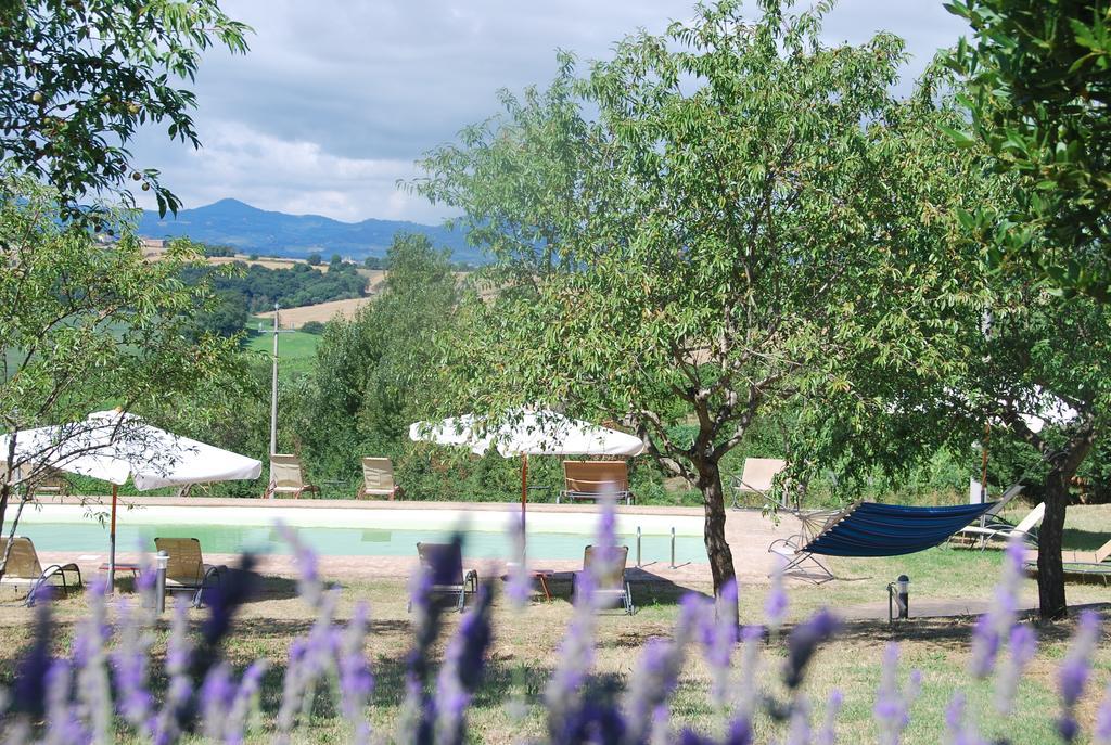 Agriturismo Le Torri Di Porsenna Petrignano Del Lago エクステリア 写真